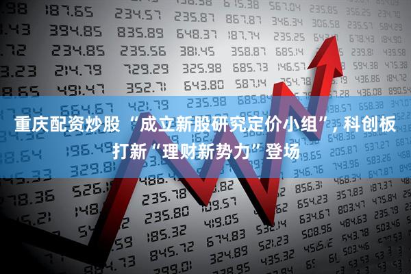 重庆配资炒股 “成立新股研究定价小组”, 科创板打新“理财新势力”登场